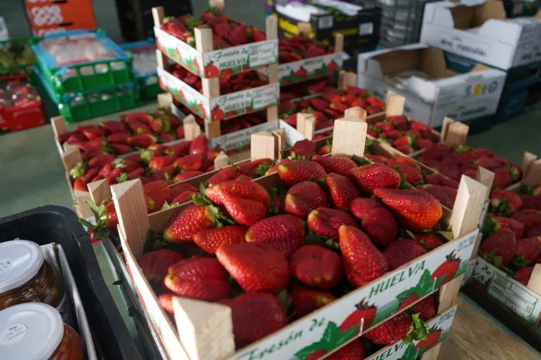 Frutas El Tío Ramón en Olivares