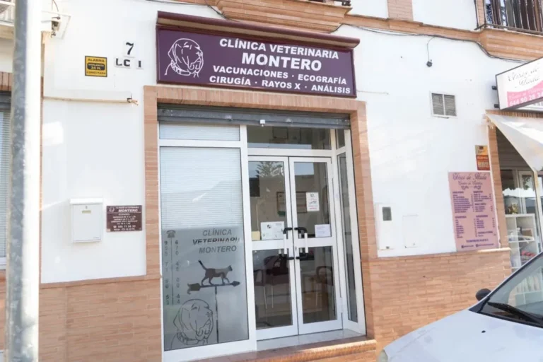 Veterinaria Montero en Olivares