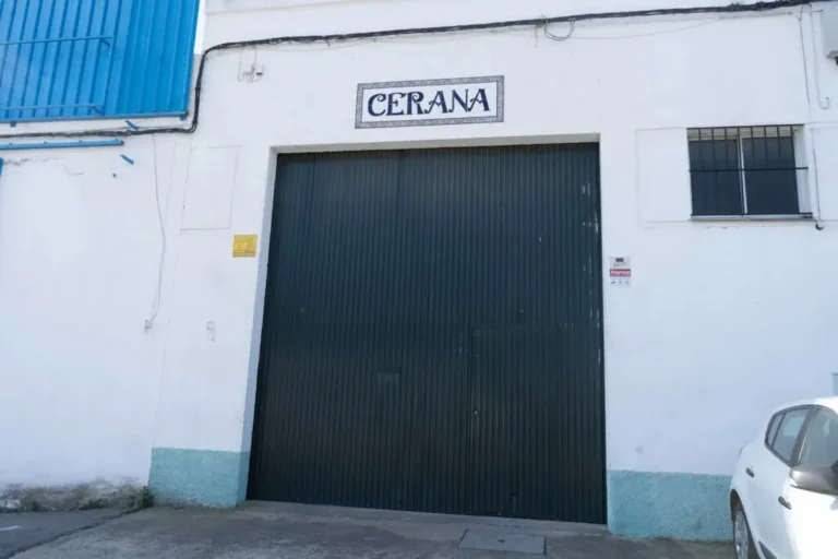 Cerámica Cerana en Olivares