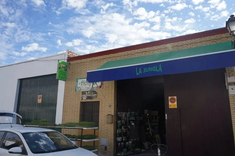 Semillería La Jungla en Olivares